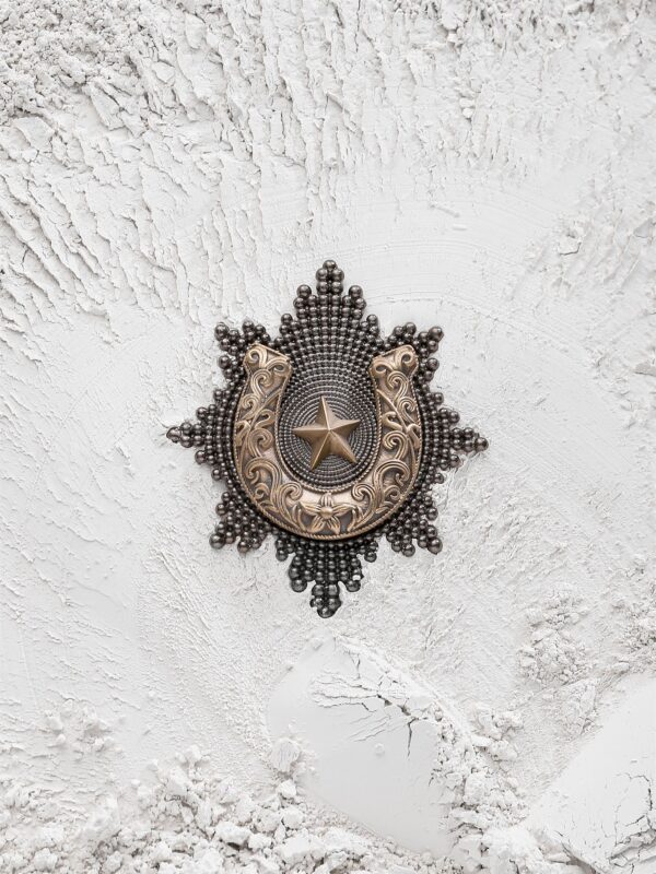 The Kotinos Star Brooch
