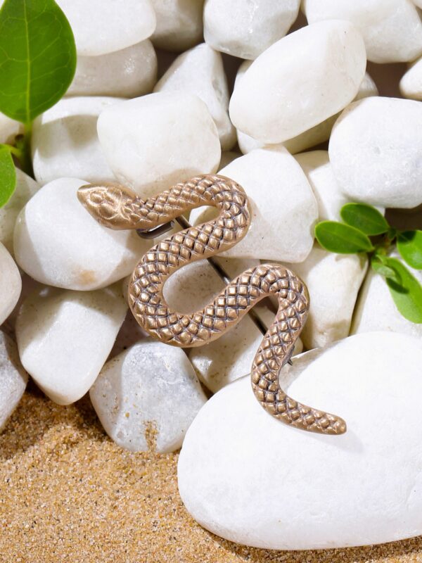 Rattlesnake brooch