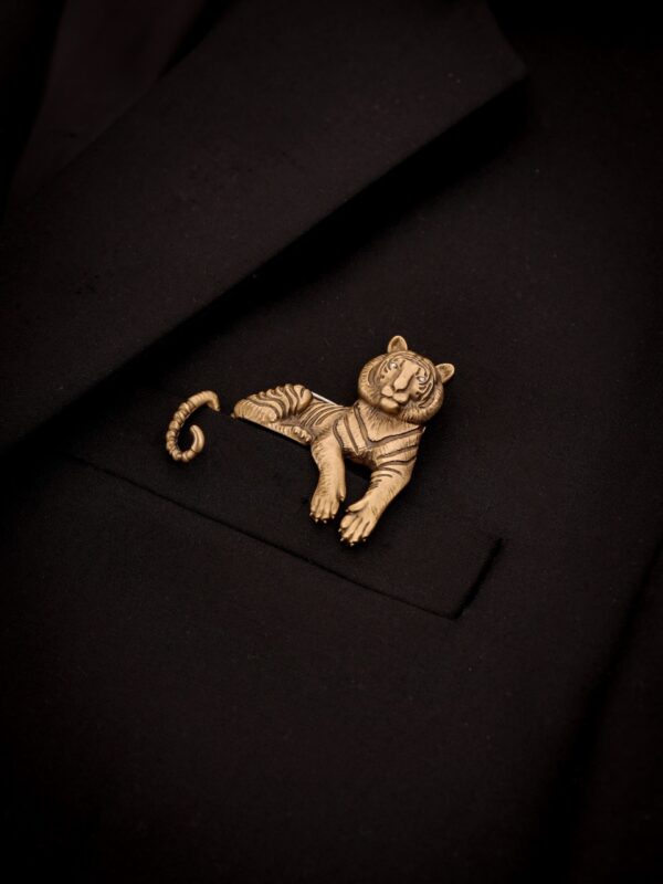 Enigmatic Stripes Brooch