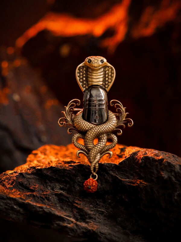 Mahadev Naga Aura Brooch